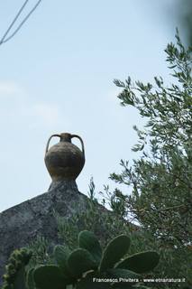 nte Venere-15-07-2015 21-01-13